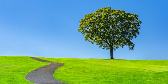 shutterstock_329308709